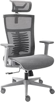 Cadeira de Escritório Ergonômico Cinza Elements Vertta Pro