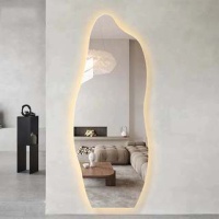 Espelho Orgânico Grande de Corpo Inteiro com Iluminação LED Chão Quarto Sala Salão hall Luxo